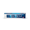 OXYDENT  Зубная паста  Maximum Freshness/Максимальная свежесть,100г